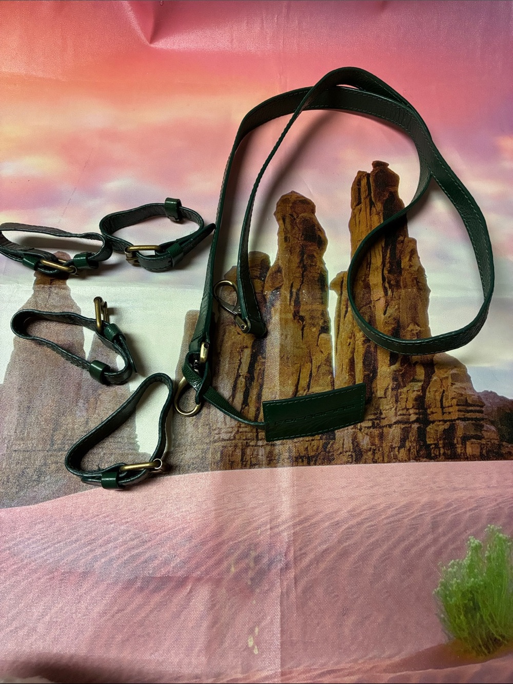 Fornarina Italy- vintage Emerald Green Leather Crossbody Strap and Harness Set.